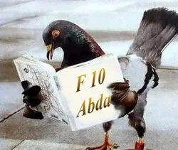 abda_f10.jpg