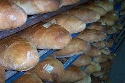 harnyas_pekseg_varakozas.jpg